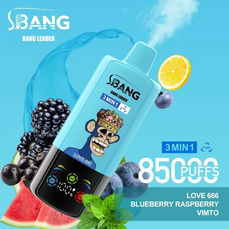imgi551Bang-Leader-85000-Puffs-4